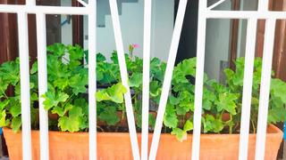 Maison à Cehegín. Se vende casa en el casco antiguo cehegin