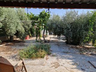 Rural plot in Archena. Se vende terreno en pago barranco