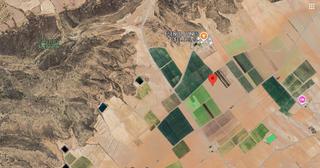 Bauernhof in Jumilla. Se vende finca rustica en jumilla