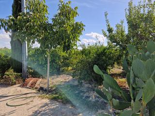 Mas à Villanueva del Río Segura. Se vende parcela en la paira con casa en construcción