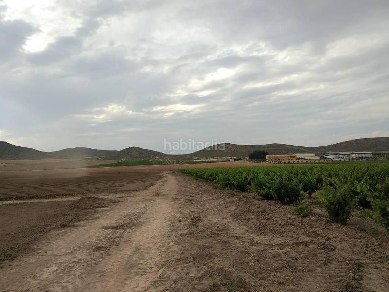 Foto 9a7266c5-8c3d-454d-9700-301ba74def70. Masia a Jumilla