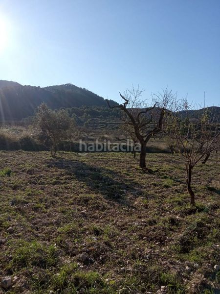 Foto 3d7846fe-6eb0-4306-a984-9e46fbfb5693. Masia a Ricote