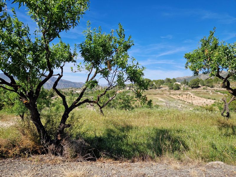 Foto 5b30ef73-0631-48b3-982e-a39358102b27. Masia a Ricote
