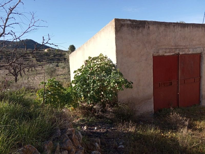 Foto 5e6808d0-4a43-4e94-9ead-f04352d37770. Masia a Ricote