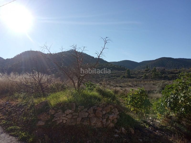 Foto a8125ec9-3f65-49ae-a71d-b4125f7f57e6. Masia a Ricote