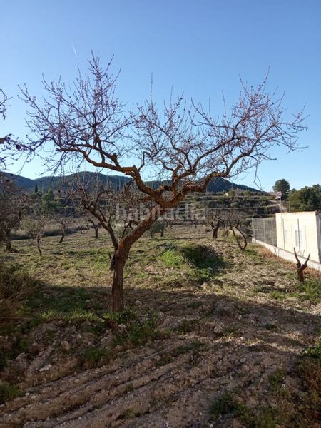 Foto ac563e06-e403-4a60-a0d3-d9ad5912aa0f. Masia a Ricote