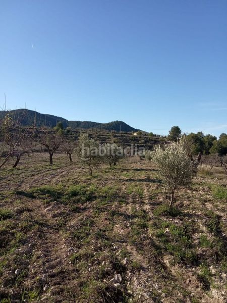 Foto f78659c7-7562-495d-b10b-48f60386894b. Masia a Ricote