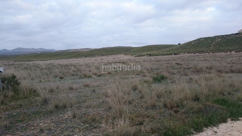 Foto 4e1711c0-d952-4fc3-a7be-5c158e2c4fab. Masía se vende finca de secano en el boqueron abaran en Abarán