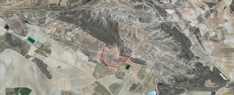 Foto 848cfa5f-a3f2-4aec-b8b1-05eb36e05273. Masía se vende finca de secano en el boqueron abaran en Abarán