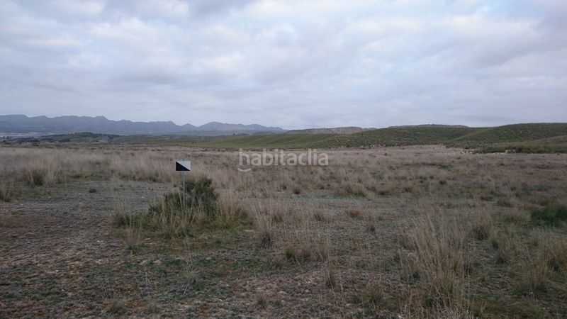 Foto b3f1bf73-6feb-4df7-a560-70e0843ff6bc. Masía se vende finca de secano en el boqueron abaran en Abarán