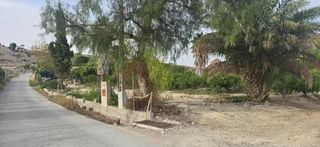 Rural plot in Archena. Parcela en venta en archena  fachada a carretera y todos los sum