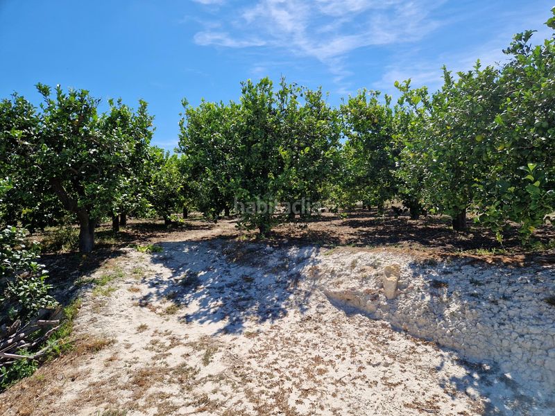 Foto 23a889a4-8329-4934-bc90-2325f5a48853. Finca rústica a Archena