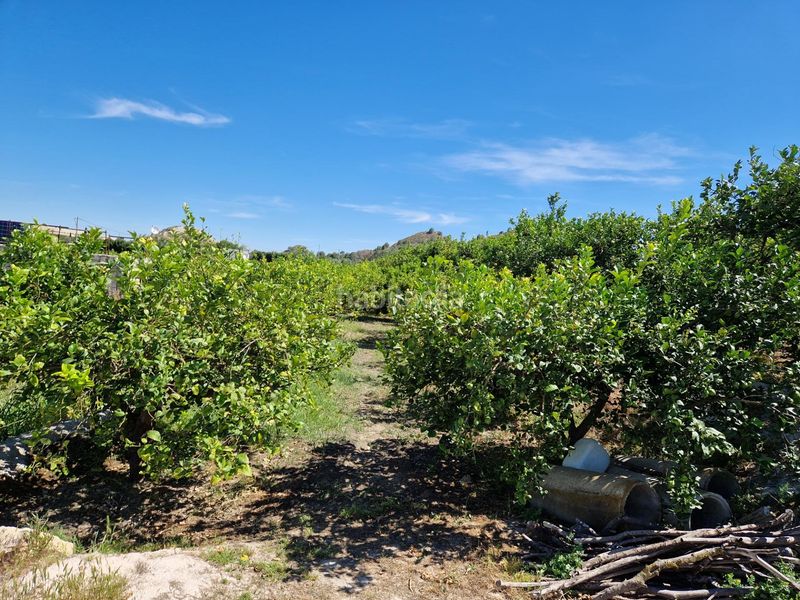 Foto b6f278f0-deda-4904-b734-3f4fc88fa542. Finca rústica a Archena