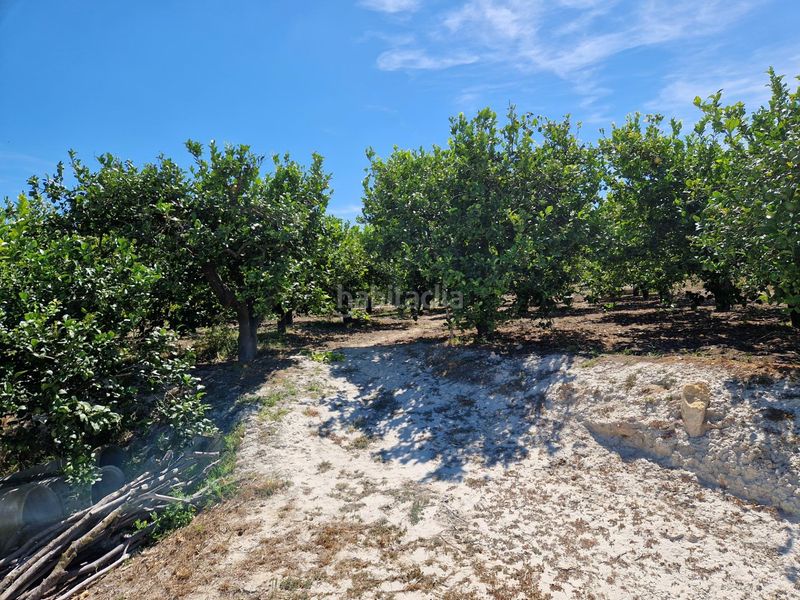 Foto c39ec878-85ed-4f20-a5be-da72283f8651. Finca rústica a Archena
