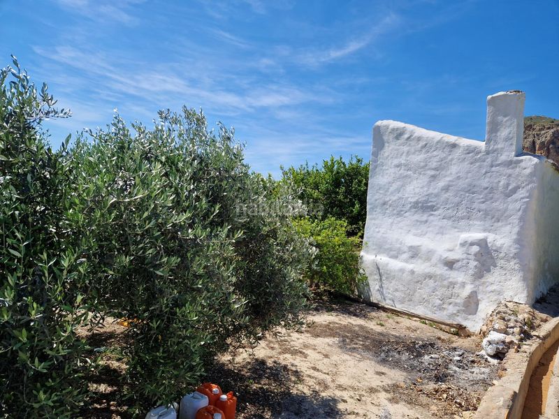 Foto a242a670-d1c0-4849-9ad0-f7ea48d3fd66. Finca rústica a Moratalla