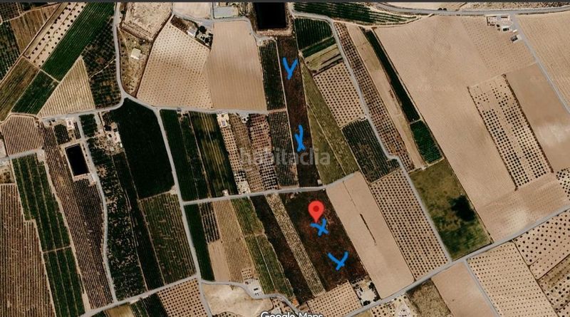 Foto f365b450-eb4b-4c7d-998c-4140adc9dc99. Finca rústica a Jumilla