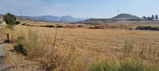 Fondo rustico in Mula. Magnífica finca rústica en venta  carretera de mula ojos