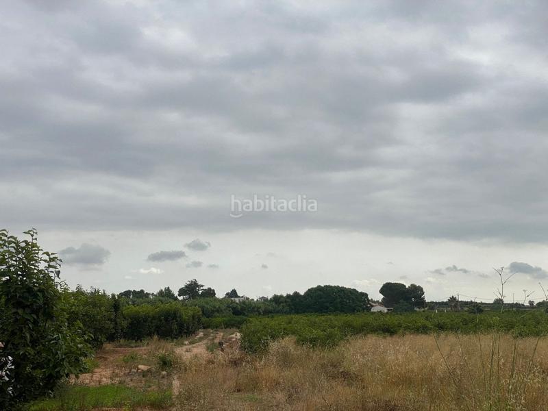 Foto 07be6ace-fb5b-4c78-ae37-3b0412560108. Propriété dans camino mataburres dans Carlet