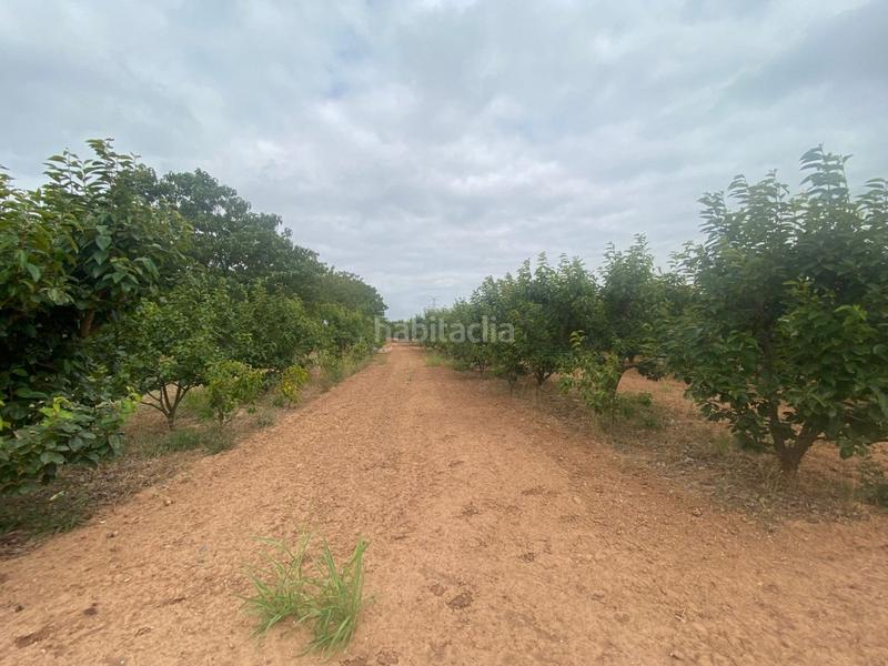 Foto 1628197b-28d9-4f98-a27b-fcecf6558828. Propriété dans camino mataburres dans Carlet