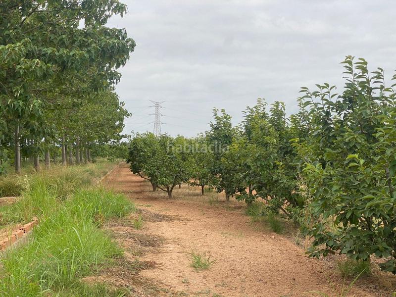 Foto 2300cbeb-fb09-414b-a7bd-d661701dc33f. Propriété dans camino mataburres dans Carlet