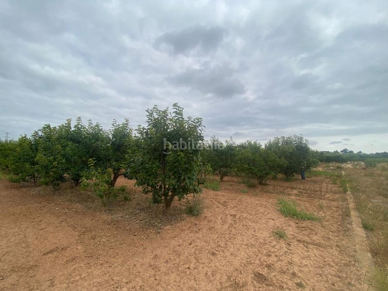 Foto 29995283-38a8-4543-88e7-a6f8a4d09933. Propriété dans camino mataburres dans Carlet