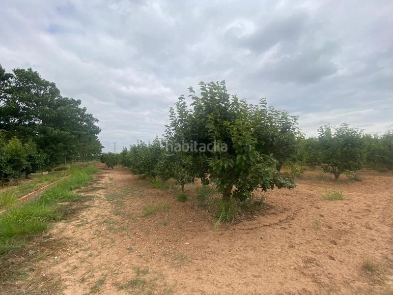 Foto 346b9e61-305d-4c2a-87aa-d3e4bcfa5496. Propriété dans camino mataburres dans Carlet