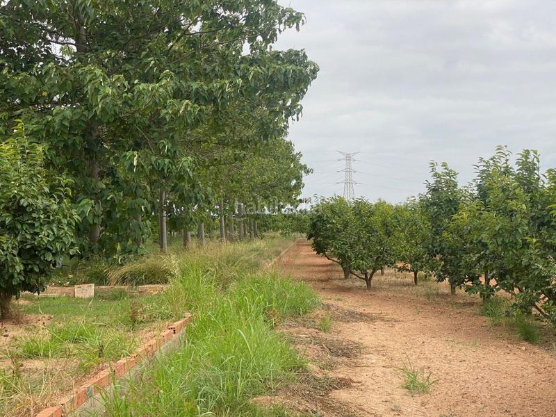 Foto 61e2a18c-73aa-4c01-8bf6-ee1aaa3967da. Propriété dans camino mataburres dans Carlet