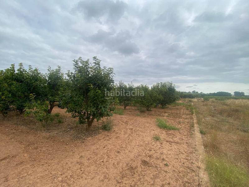 Foto 733f2768-2b05-465a-86f4-19c224f21752. Propriété dans camino mataburres dans Carlet