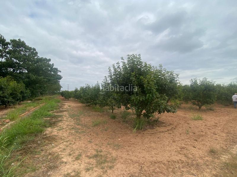 Foto bb34a8be-e7e8-4a4b-b73d-9e186b5f089b. Propriété dans camino mataburres dans Carlet