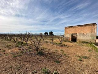 Masia  Benimodo. Caseta rural a pocos metros de la población de benimodo