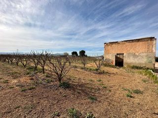 Casa  Benimodo. Caseta rural a pocos metros de la poblacin de benimodo