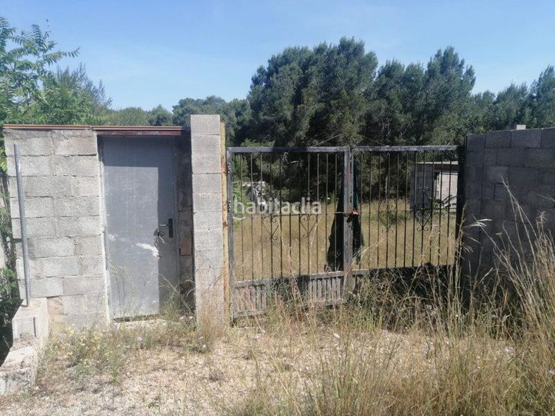 Foto ab1b9849-fe00-40ca-8def-d406429dafca. Masía terreno rústico con punto de luz y agua en Llombai