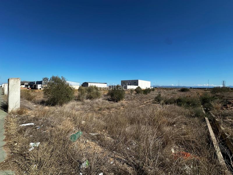 Foto dec7c625-832b-40ab-9b59-ba60393b7dac. Terreno residencial oportunidad! venta de terreno en polígono carretera de la creu negra en Carlet