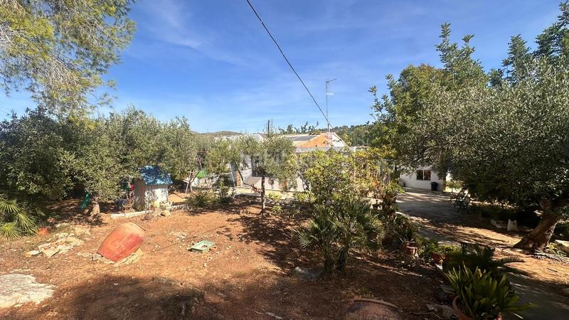 Foto 0798c0f3-adff-4e33-be5a-99fb1d1cc976. Xalet amb aparcament a Carlet