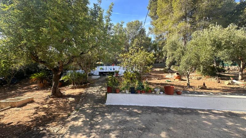 Foto 9a3950eb-684f-4dbf-a748-1193f05ec811. Xalet amb aparcament a Carlet