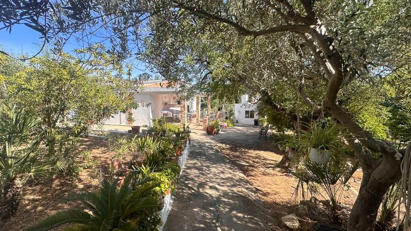 Foto da7ed5ec-b086-426d-9f20-a8a2b4f5f4b8. Xalet amb aparcament a Carlet