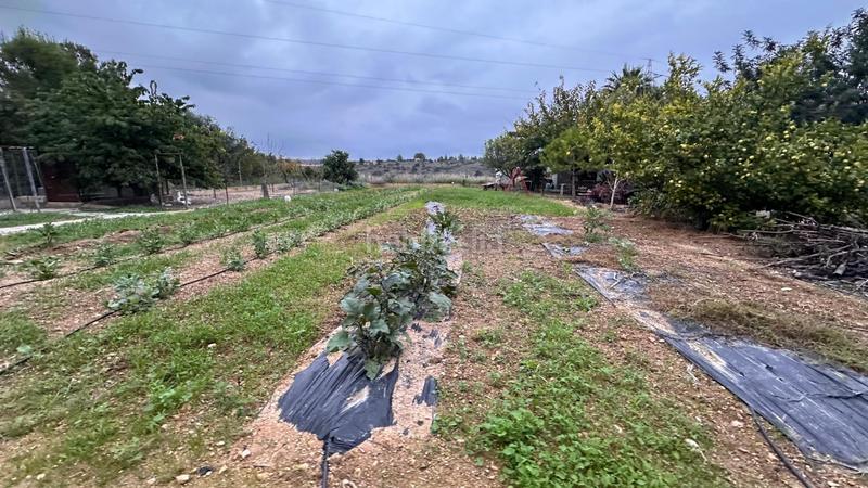 Foto 301b5f5c-f4bc-4fbb-bfe5-6fc079898c6c. Xalet amb piscina a Tous