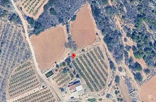 Casa en Tous. Casa de campo rústica con gran extensión de terreno en la garrof