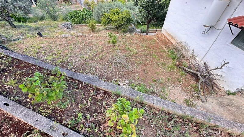 Foto 75931513-f20a-45a4-8151-881d15f63ac5. Casa amb aparcament piscina a Carlet