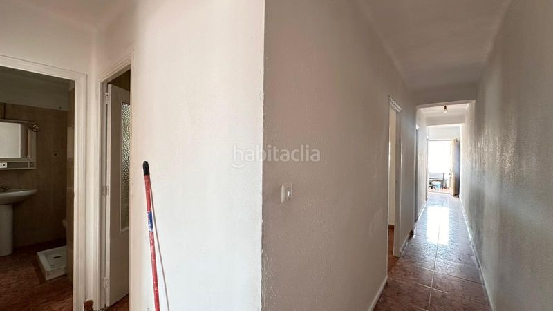 Foto 307c4641-bffd-4a6e-bbe4-1e747b253c0b. Pis a Benimodo