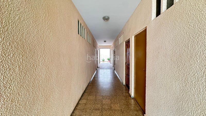 Foto cf4c7351-e62c-4c32-bb67-f2eceda40d12. Pis a Benimodo