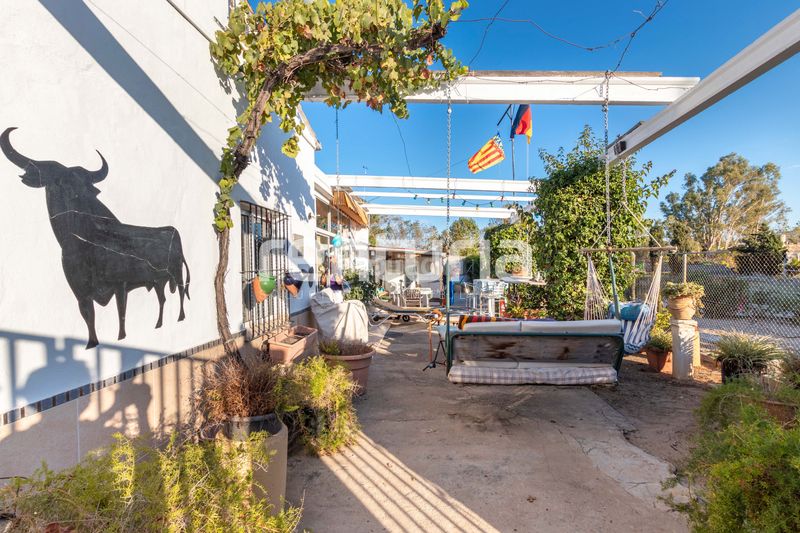 Foto d9462ea2-b2fe-41bd-a6c5-aa4ce751ba00. Terreny residencial a Oliva nova Oliva