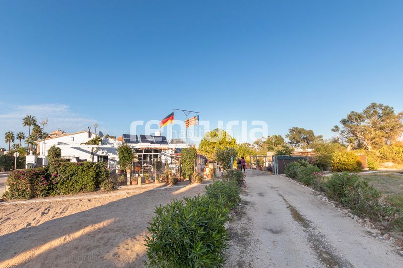 Foto e28d0fb5-0574-442f-b0df-e8d70c83d858. Terreny residencial a Oliva nova Oliva
