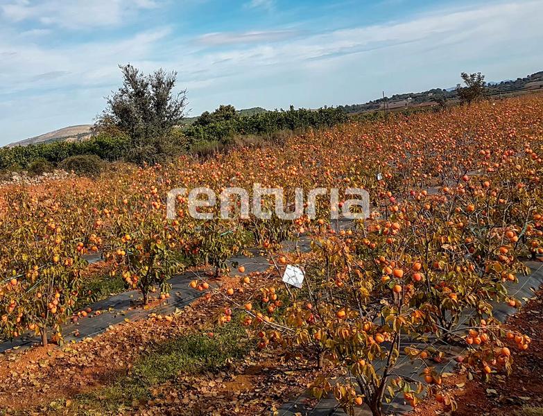 Foto 5414b260-05c1-4cde-ac37-ae80e8687d1d. Landgut in Anna