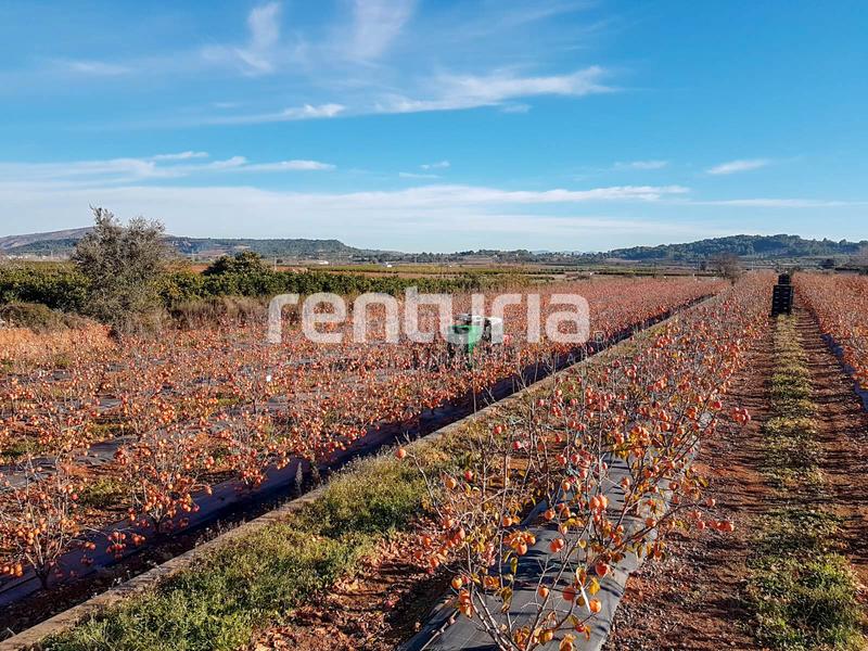 Foto adae5751-1de9-4c31-97bc-e64ce6c4ba4e. Landgut in Anna