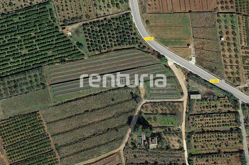 Foto 5c0b3503-f266-4c62-a48d-461d3086d06c. Finca rústica en Anna