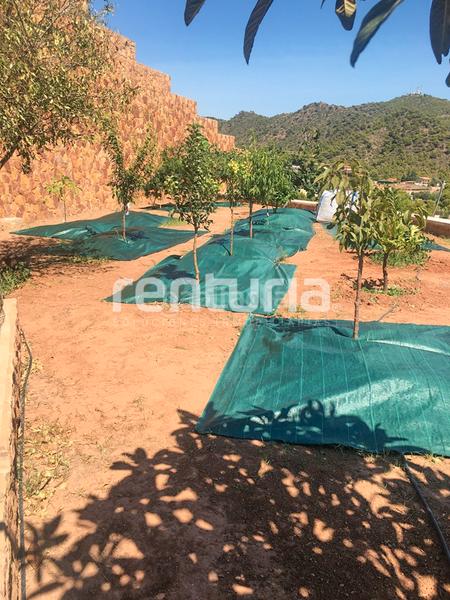 Foto c1a64dca-fc28-4284-aced-d359203e9f87. Wohngrundstück in Alfinach - Monasterios Puçol