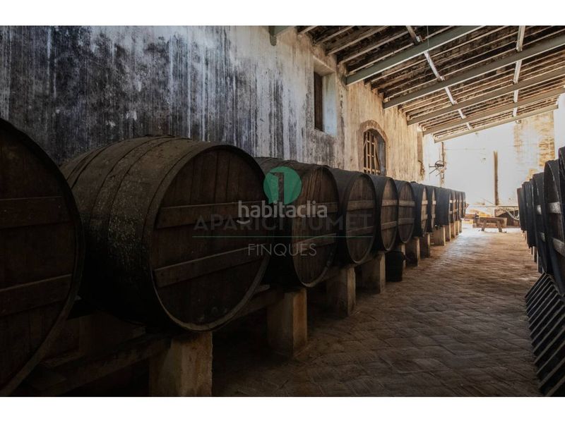 Foto f80f5413-04d9-4d5a-afea-00578f41ee85. Edifici a Polígon Industrial Domenys Vilafranca del Penedès