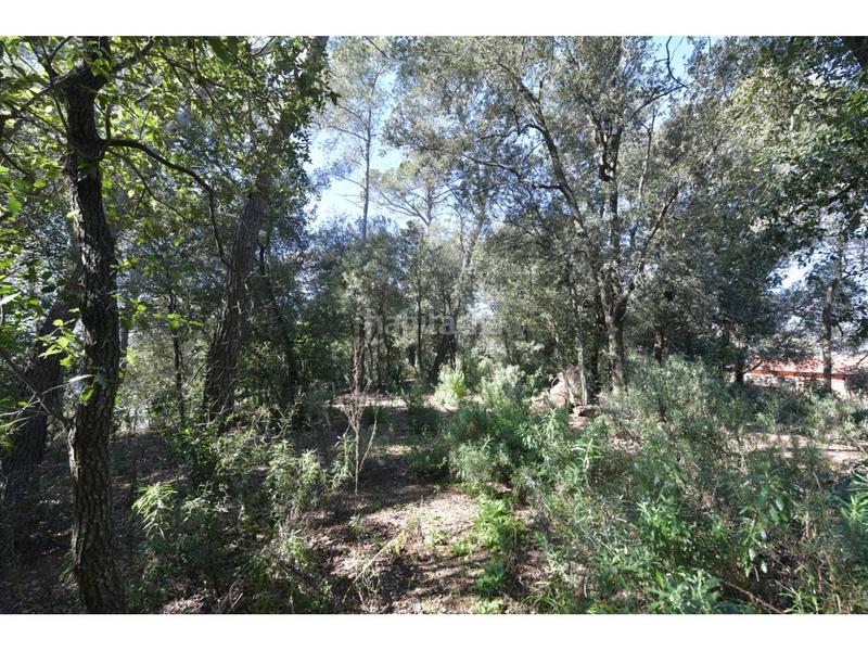 Foto 1a5a7a5f-dc31-487f-8f11-23fca57b49e5. Terrain résidentiel dans El Racó-Sant Feliu del Racó Castellar del Vallès