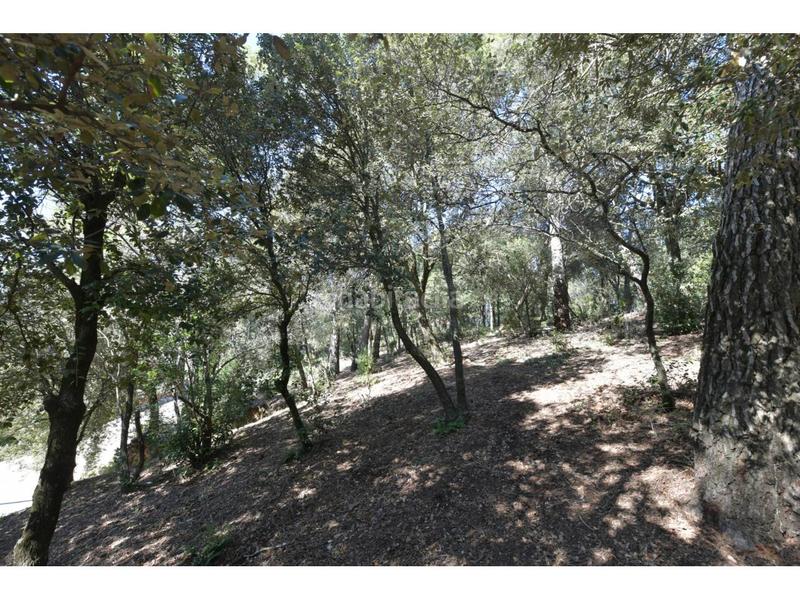 Foto 27fe1024-04f5-4c02-a315-88ef49e99a3f. Terrain résidentiel dans El Racó-Sant Feliu del Racó Castellar del Vallès